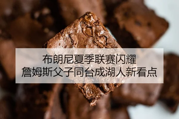 布朗尼夏季联赛闪耀 詹姆斯父子同台成湖人新看点